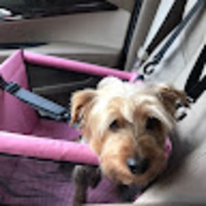 Meet your Posher, Angie